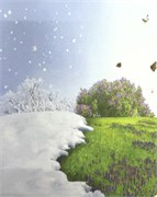 Салфетки Т-129 14214
